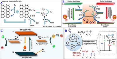 Frontiers | Mechanisms Of Reactive Oxygen Species Generated By ...